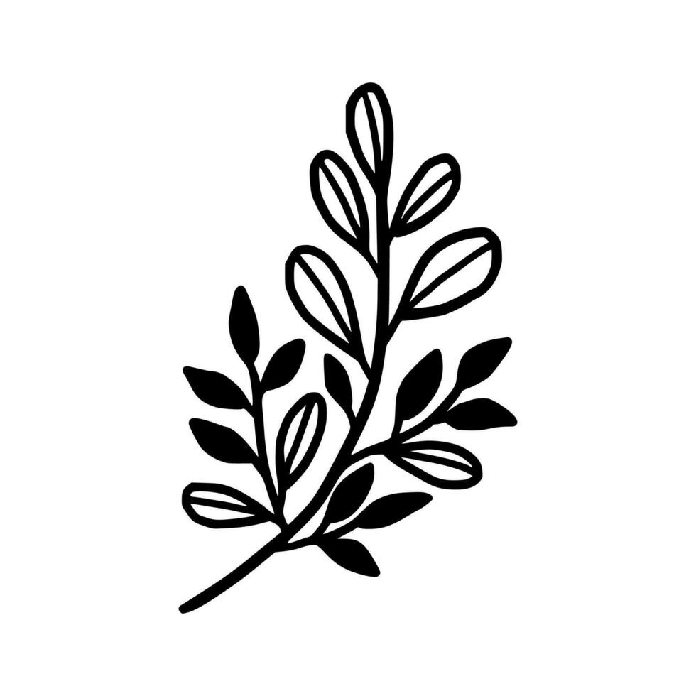 Vintage hand drawn foliage, leaf branch line art vector element