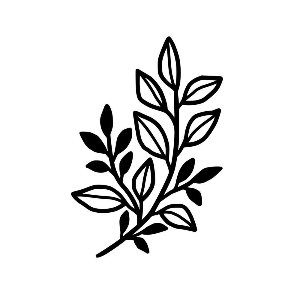 Vintage hand drawn foliage, leaf branch line art vector element