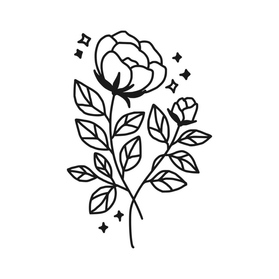 Vintage hand drawn peony flower line art vector element