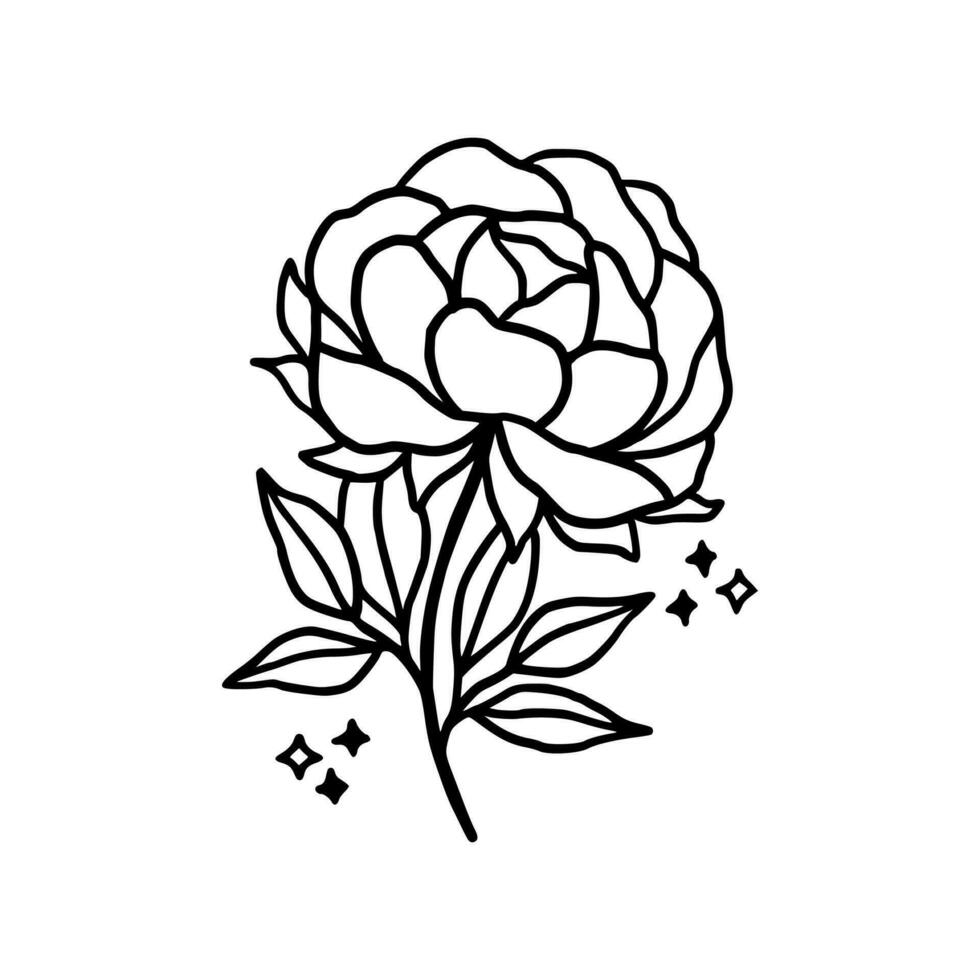 Vintage hand drawn line art peony flower and leaf branch vector