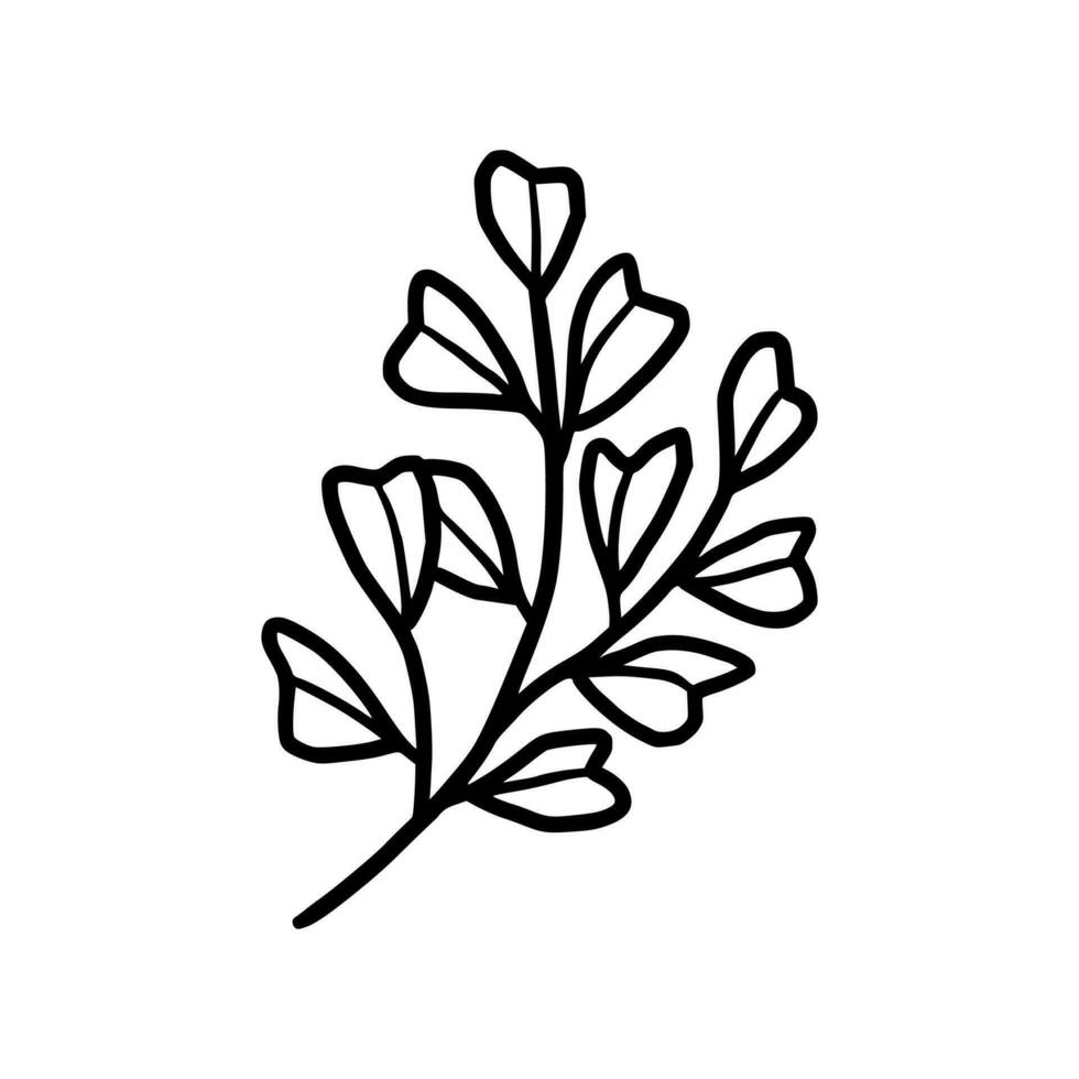 Vintage hand drawn foliage, leaf branch line art vector element