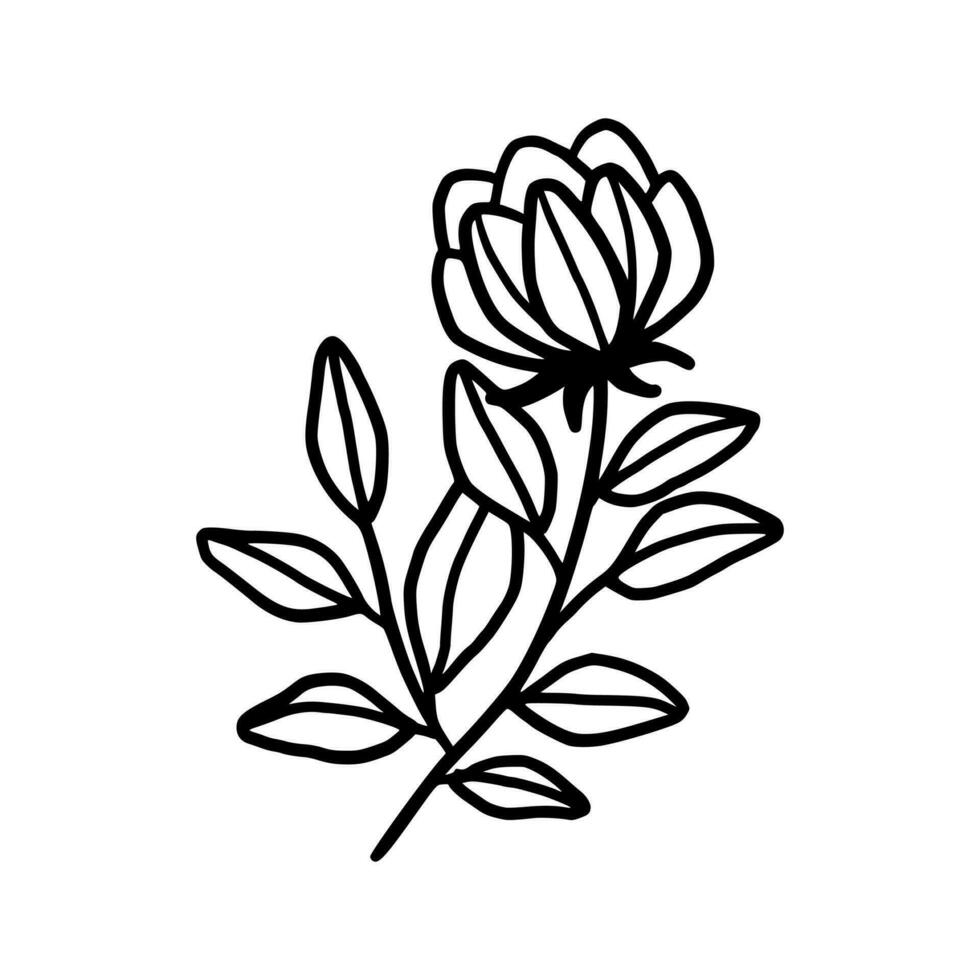 Vintage hand drawn peony flower line art vector element