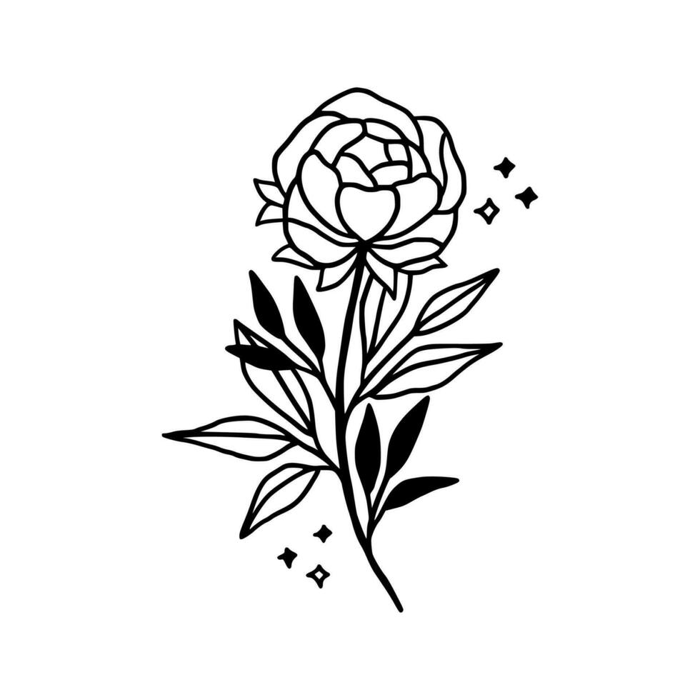 Vintage hand drawn line art peony flower and leaf branch vector