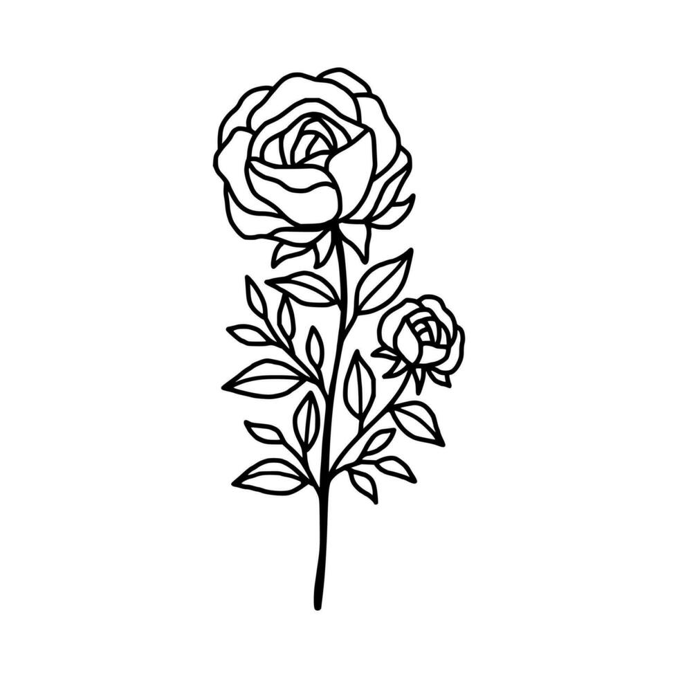 Hand drawn rose flower and leaf branch line art vector illustration design