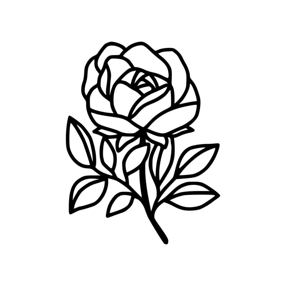 Hand drawn rose flower and leaf branch line art vector illustration design