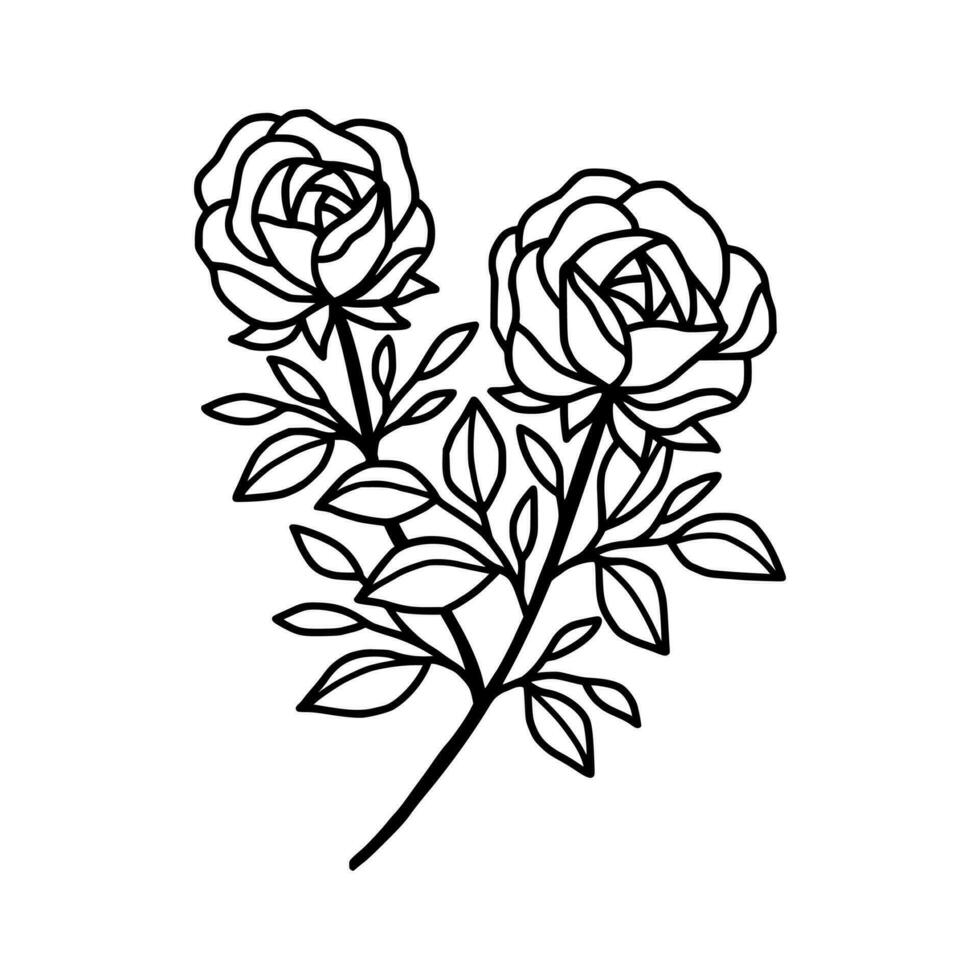 Hand drawn rose flower and leaf branch line art vector illustration design