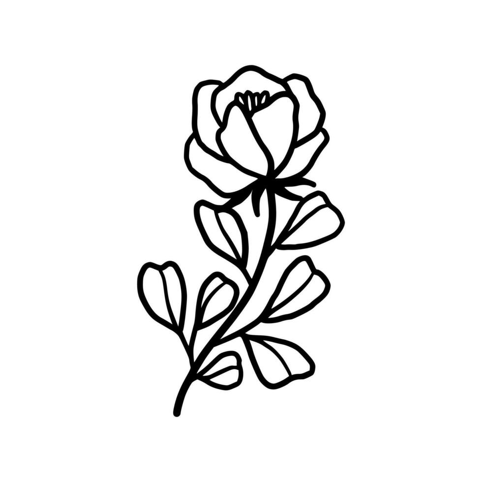 Vintage hand drawn peony and rose flower line art vector illustration element