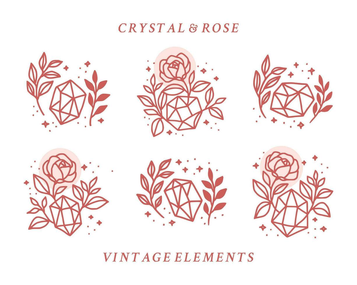 Collection of hand drawn magical elements with crystal, rose flowers, stars, leaf branch for feminine icon, beauty logo, emblem, and other purposes vector