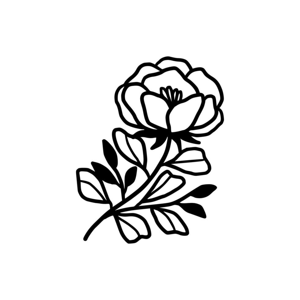 Vintage hand drawn peony and rose flower line art vector illustration element