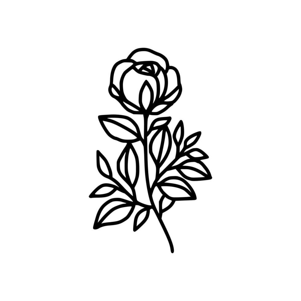 Hand drawn rose flower and leaf branch line art vector illustration design