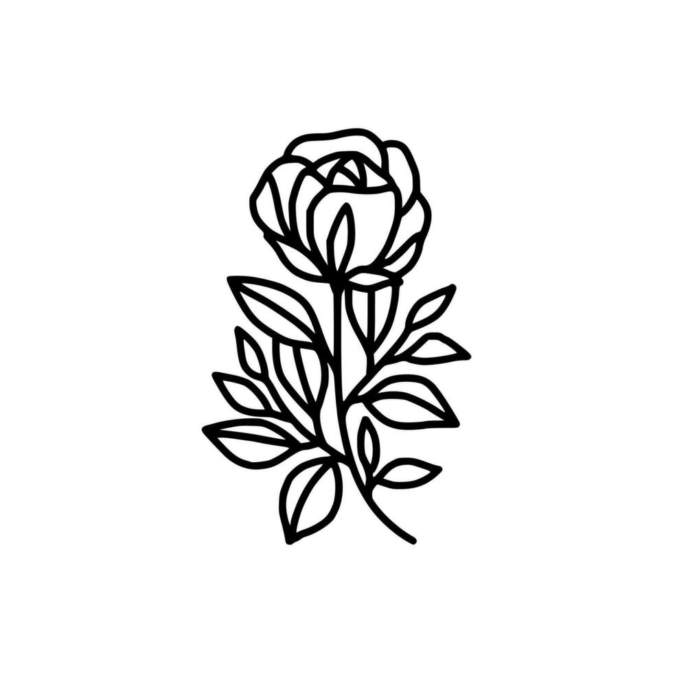 Hand drawn rose flower and leaf branch line art vector illustration design