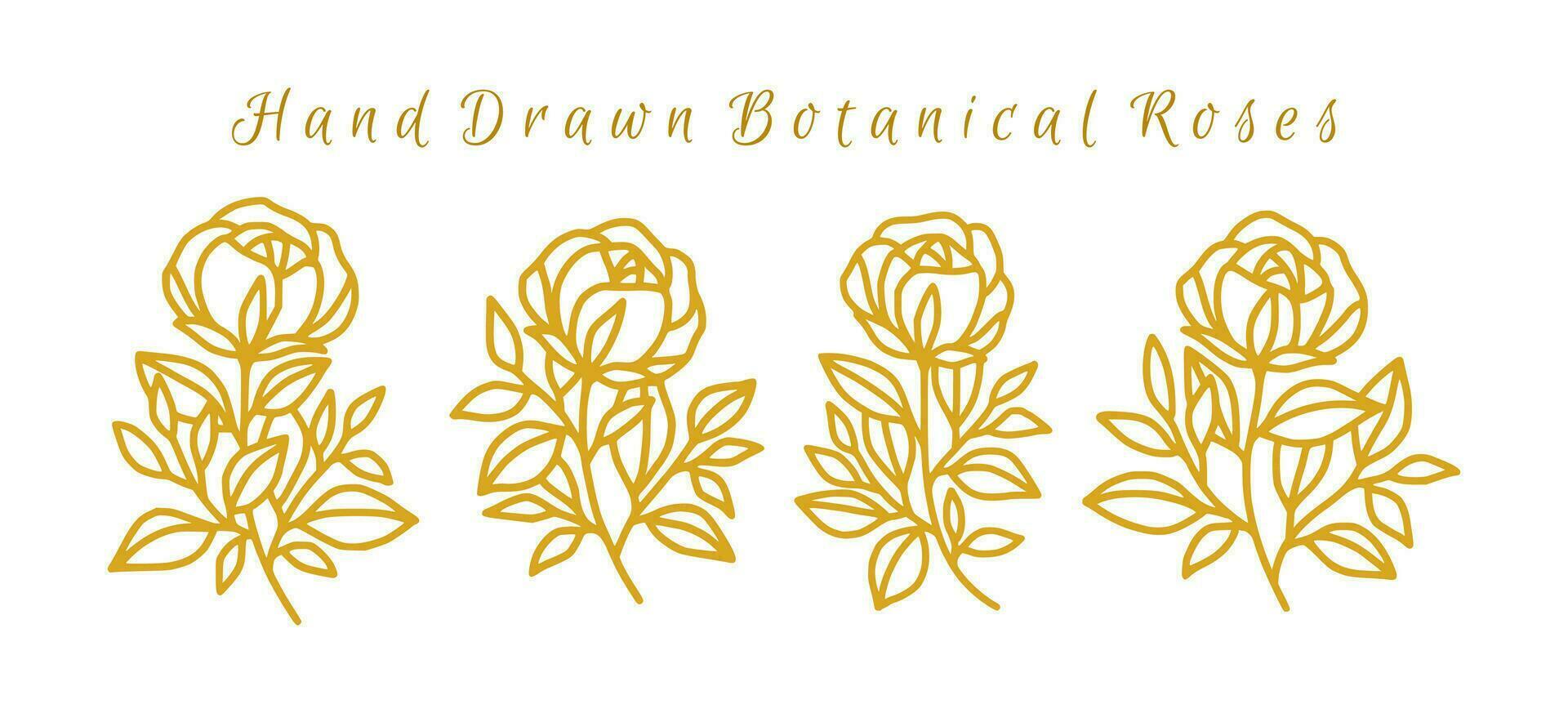 Vintage hand drawn rose flower logo element collection vector