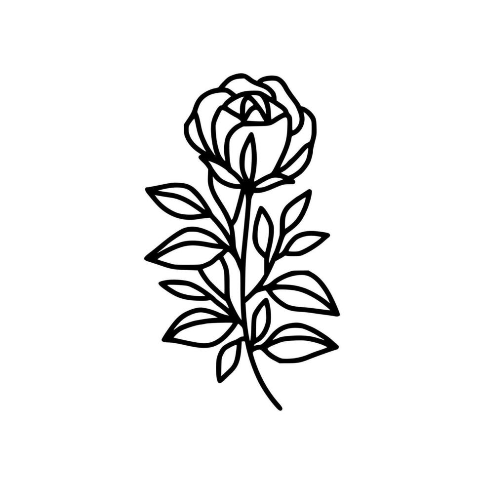 Hand drawn rose flower and leaf branch line art vector illustration design