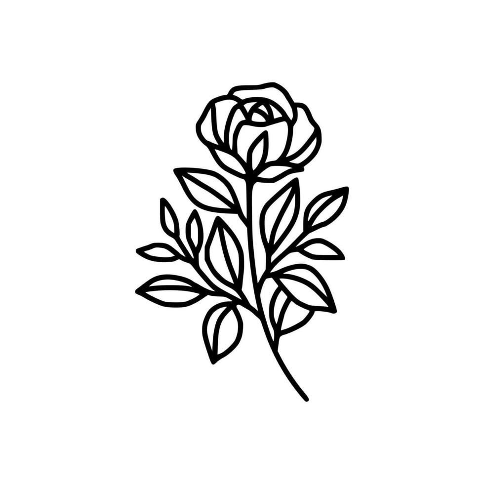 Hand drawn rose flower and leaf branch line art vector illustration design