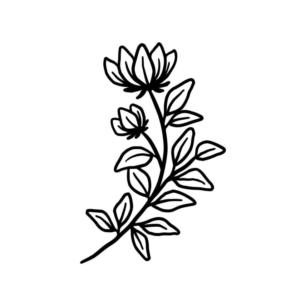 Vintage hand drawn peony flower line art vector element