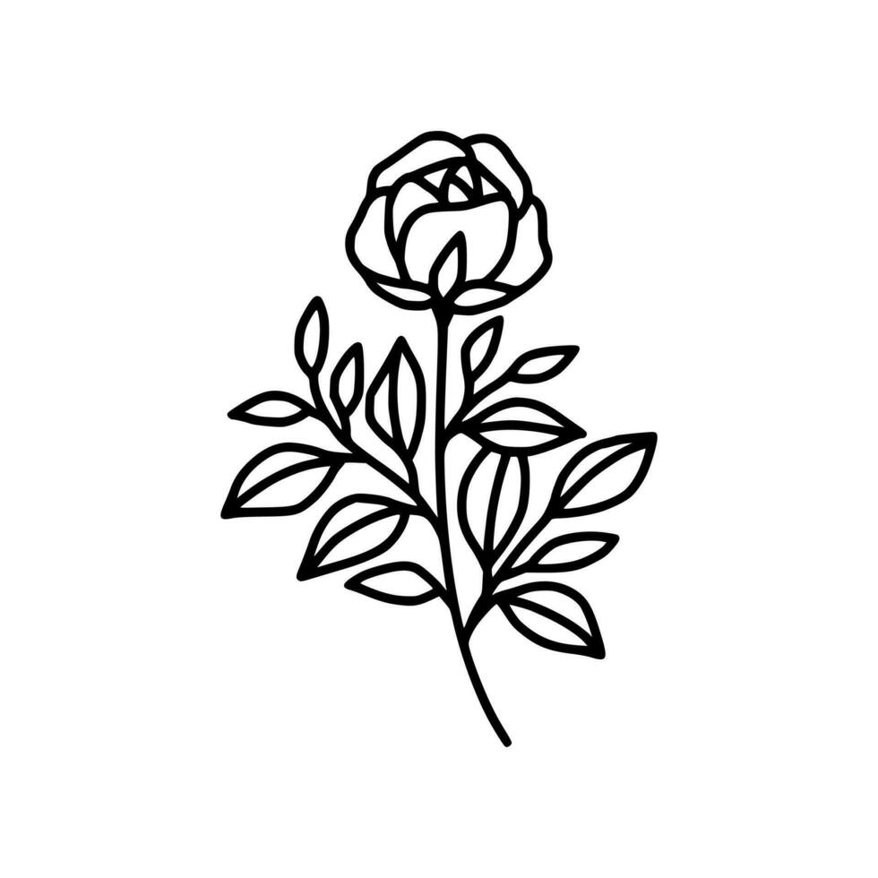 Hand drawn rose flower and leaf branch line art vector illustration design