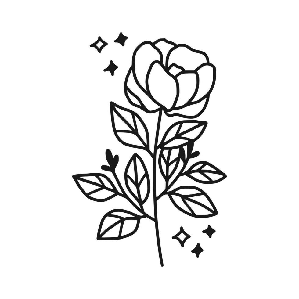 Vintage hand drawn peony flower line art vector element