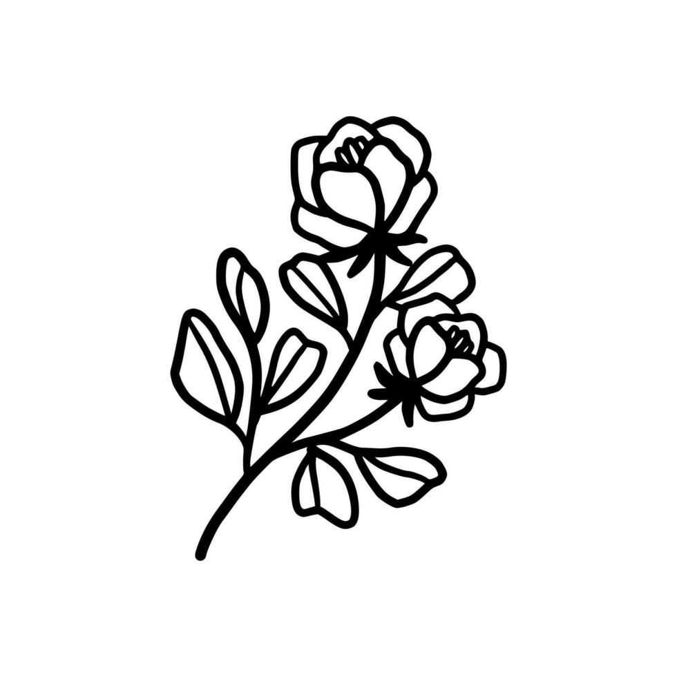 Vintage hand drawn peony flower line art vector element