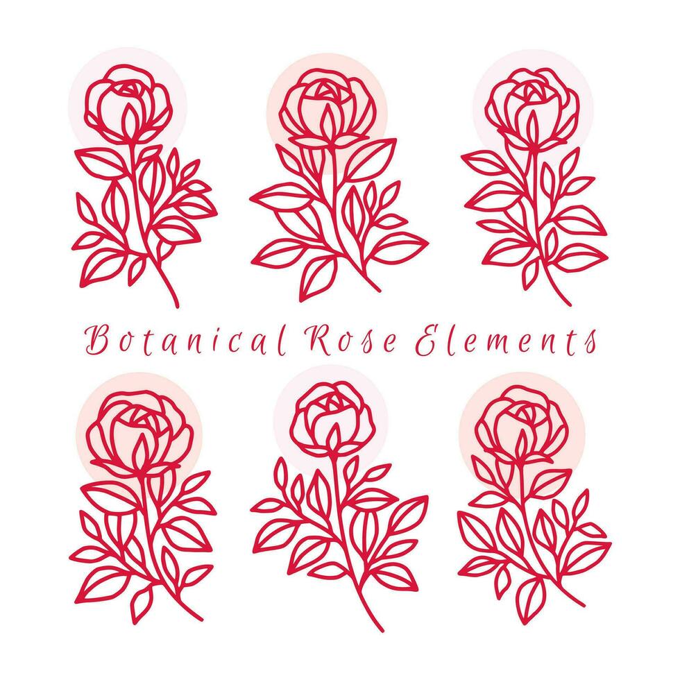 Vintage hand drawn rose flower logo element collection vector