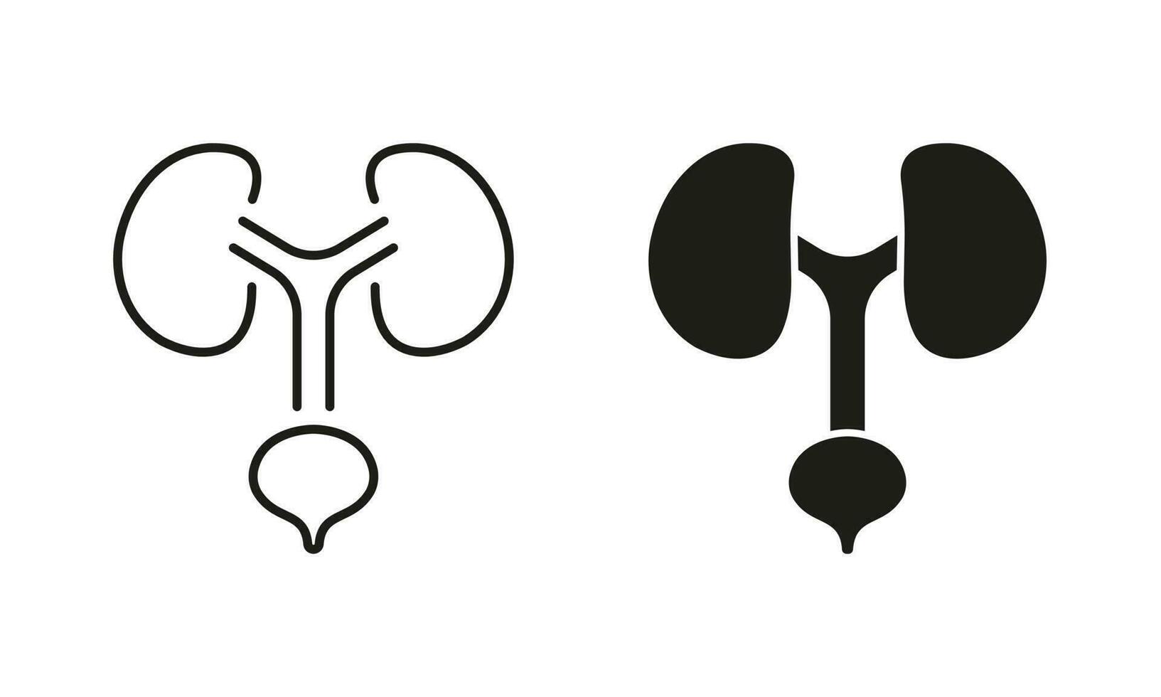 Human Urinary System Line and Silhouette Icon Set. Healthy Internal Organs, Health Bladder and Kidney Symbol Collection on White Background. Urology Disease Pictogram. Isolated Vector Illustration.