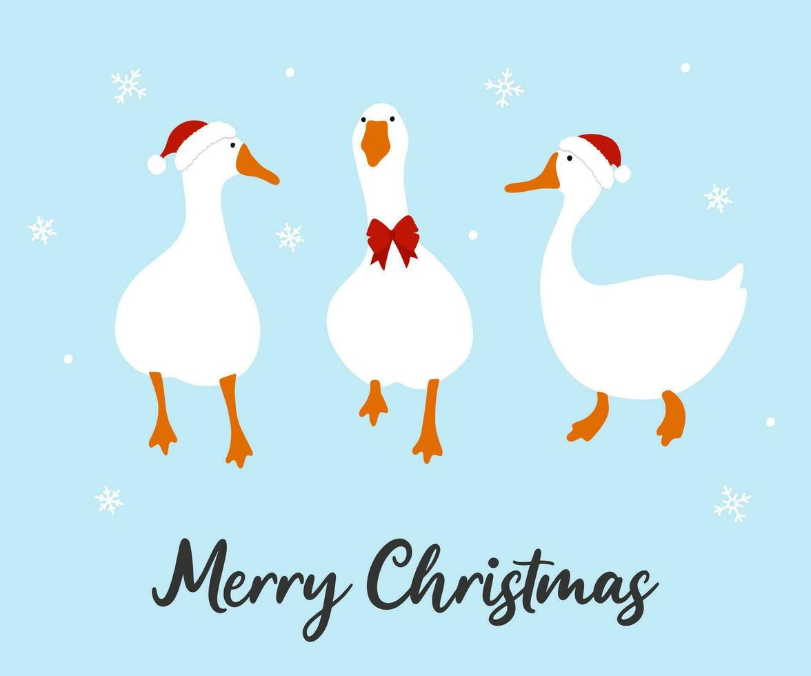 Three cute geese in red hats and bow in winter, vector illustration, christmas and new year card