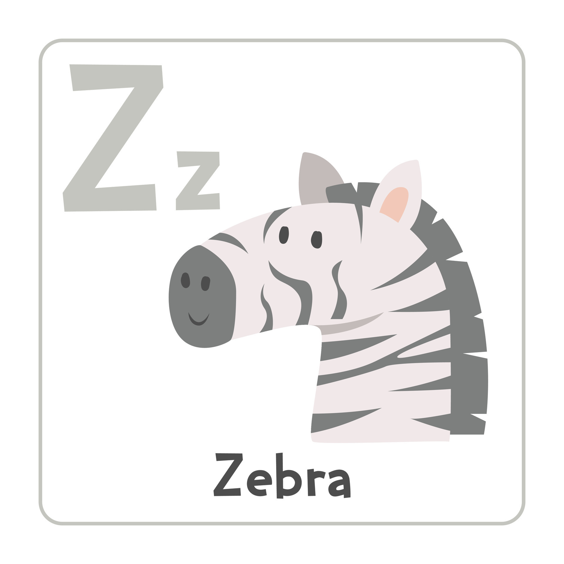 Zebra clipart. Zebra vector illustration cartoon flat style. Animals