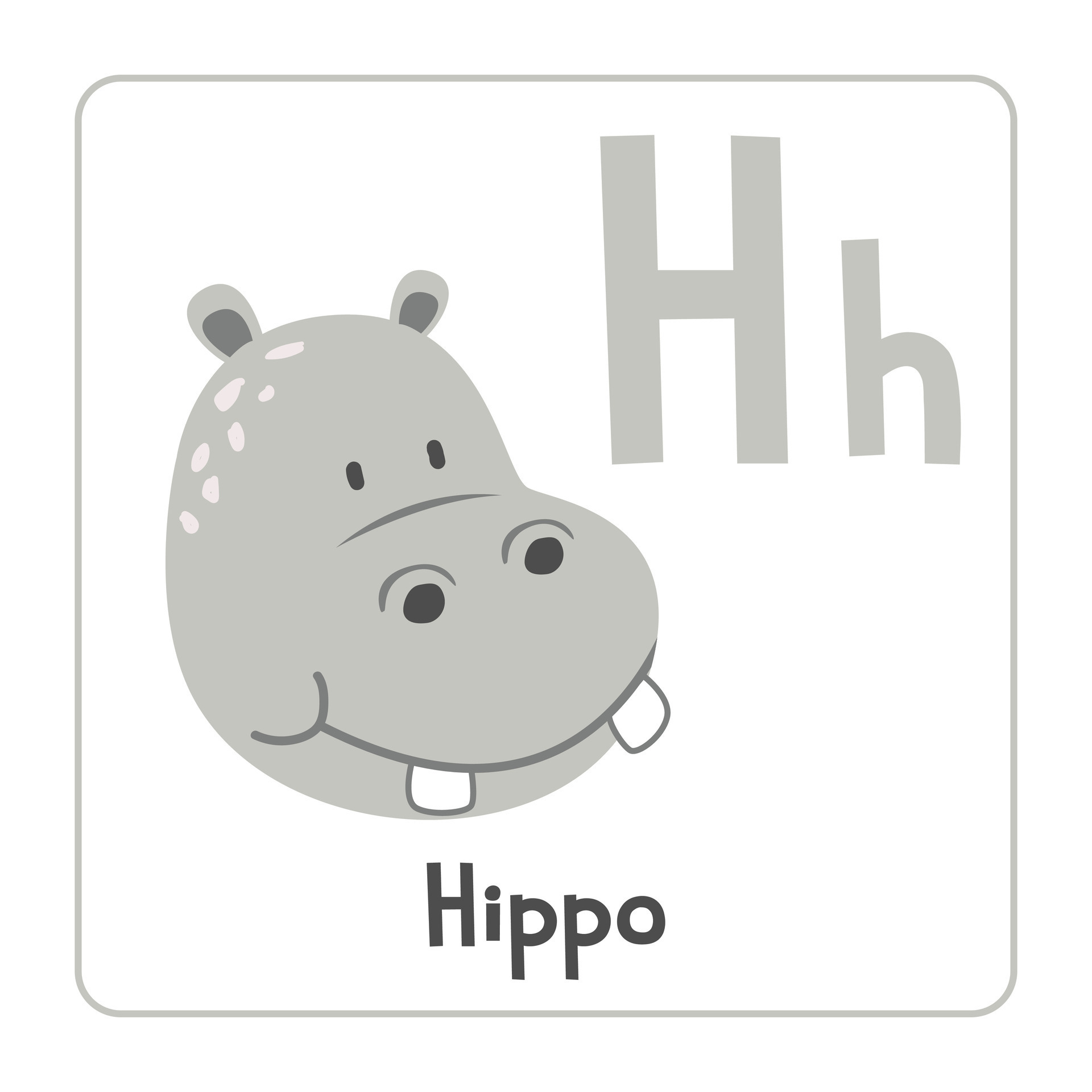 Five Letter Words Word Hippo 43 - 1hzm3a7