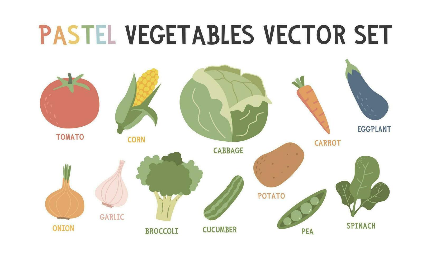 Vegetables vector set. Cute vegetable vector illustration. Colorful pastel vegetables clipart cartoon flat style. Tomato, corn, cabbage, carrot, broccoli, eggplant, onion, garlic, cucumber, spinach