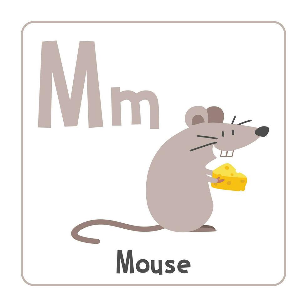 Mouse clipart. Mouse vector illustration cartoon flat style. Animals start with letter M. Animal alphabet card. Learning letter M card. Kids education. Cute mouse holding piece of cheese vector design