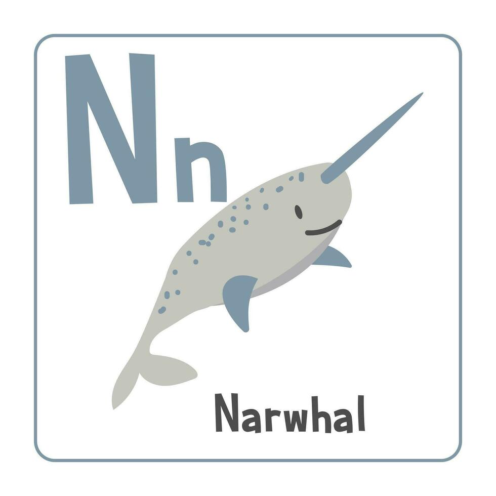 Narwhal clipart. Narwhal vector illustration cartoon flat style. Animals start with letter N. Animal alphabet card. Learning letter N card. Kids education. Cute narwhal vector design