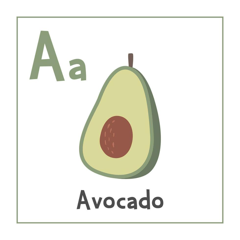 Avocado clipart. Avocado vector illustration cartoon flat style. Fruits start with letter A. Fruit alphabet card. Learning letter A card. Kids education. Cute avocado vector design