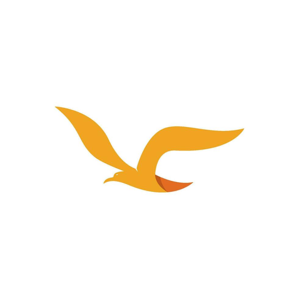 pájaro logo modelo vector ilustración
