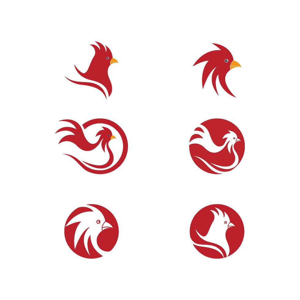 plantilla de logotipo de gallo vector