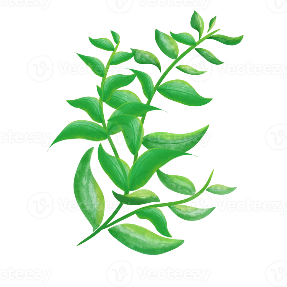 Leaves design png. Can use for element design png