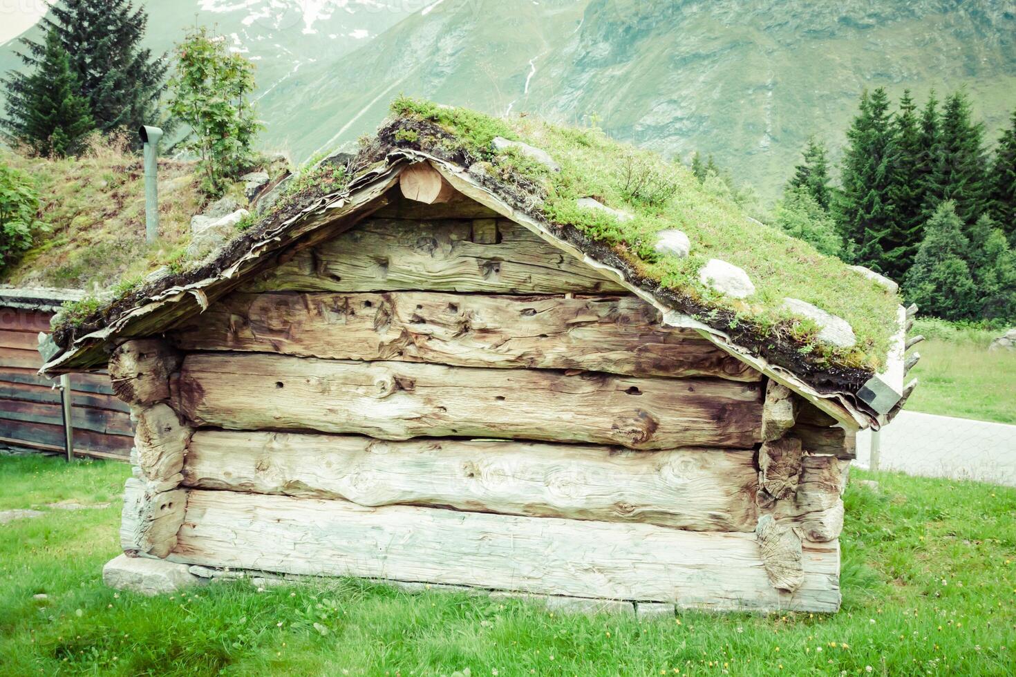 Typical Norwegian house with grass on the rooftop photo