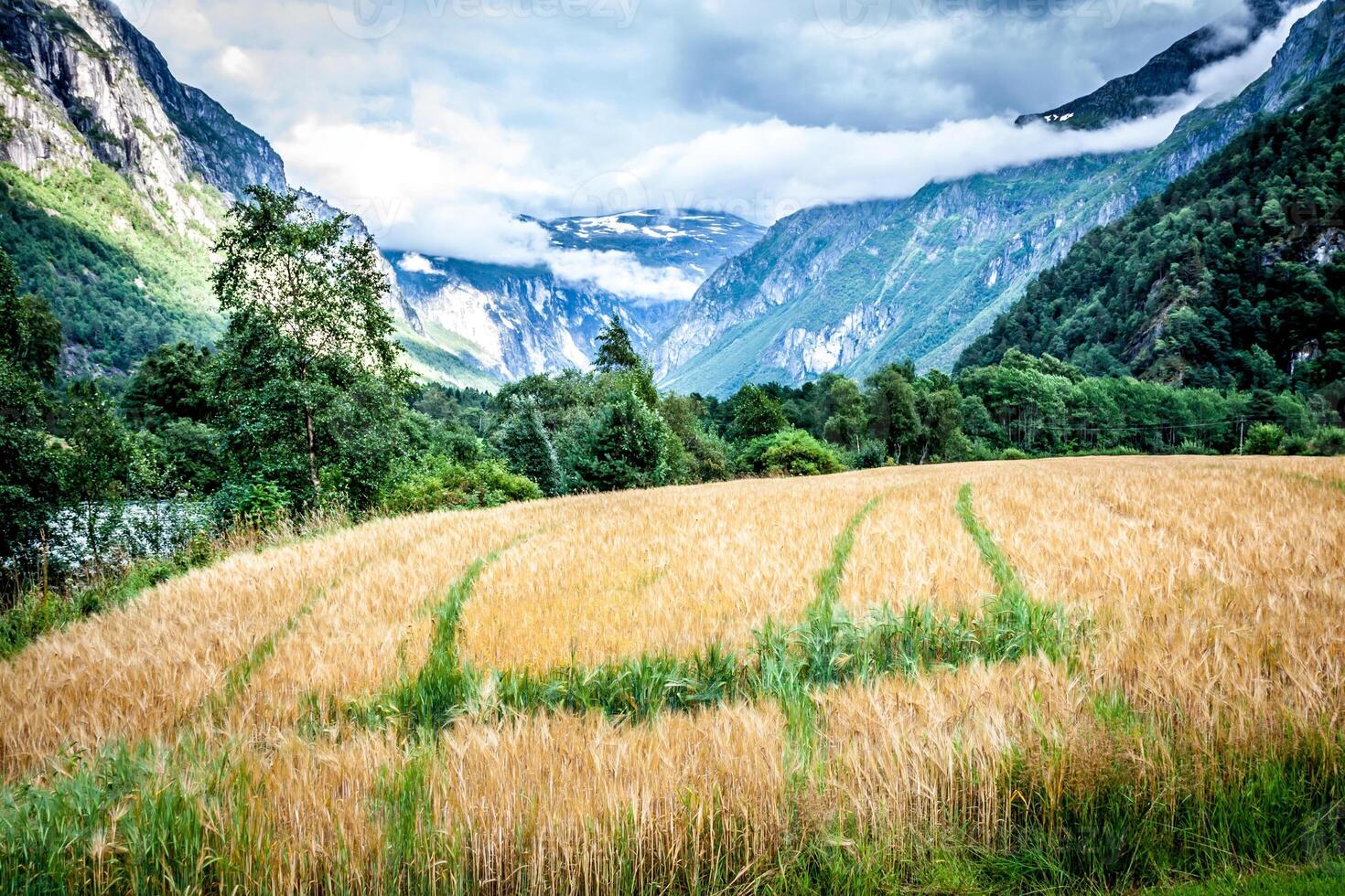 Beautiful valley, Troll Route, Norway photo