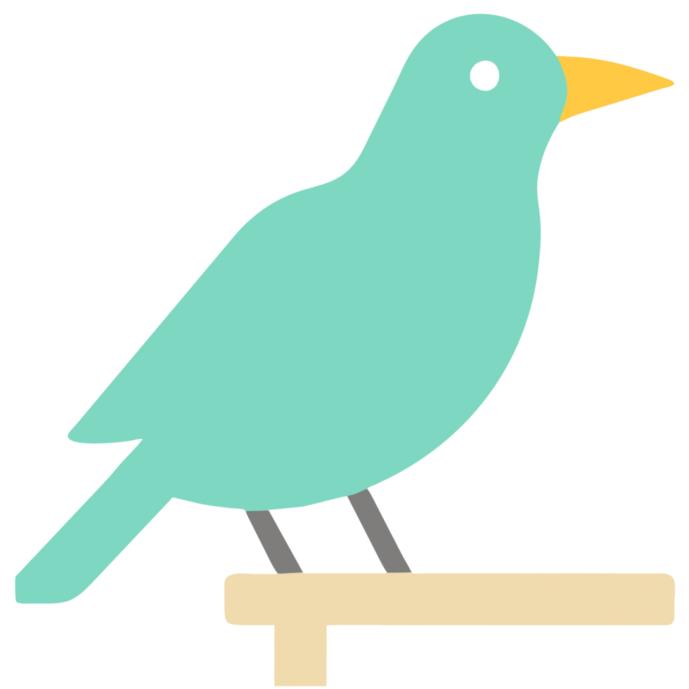 cute bird illustration png