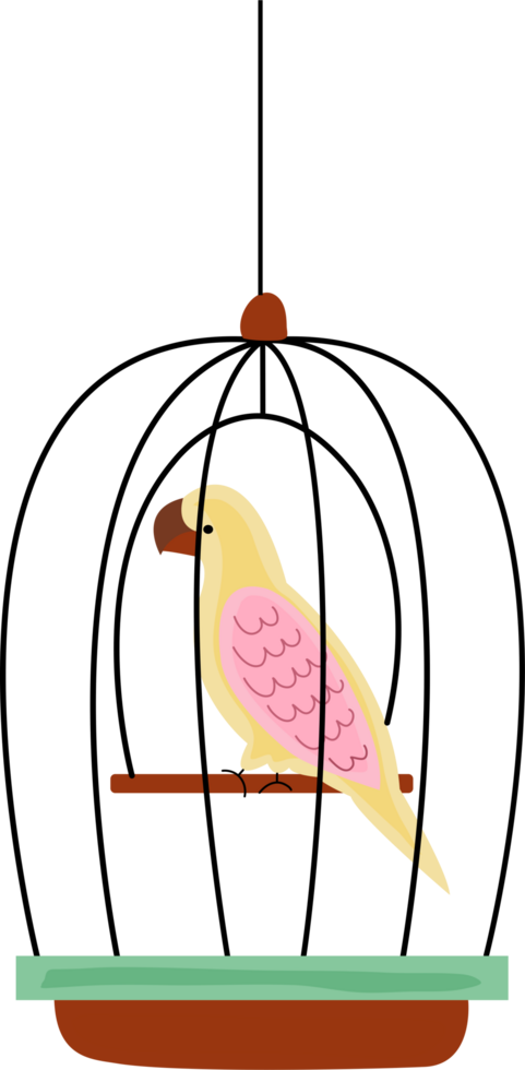 a cute bird png