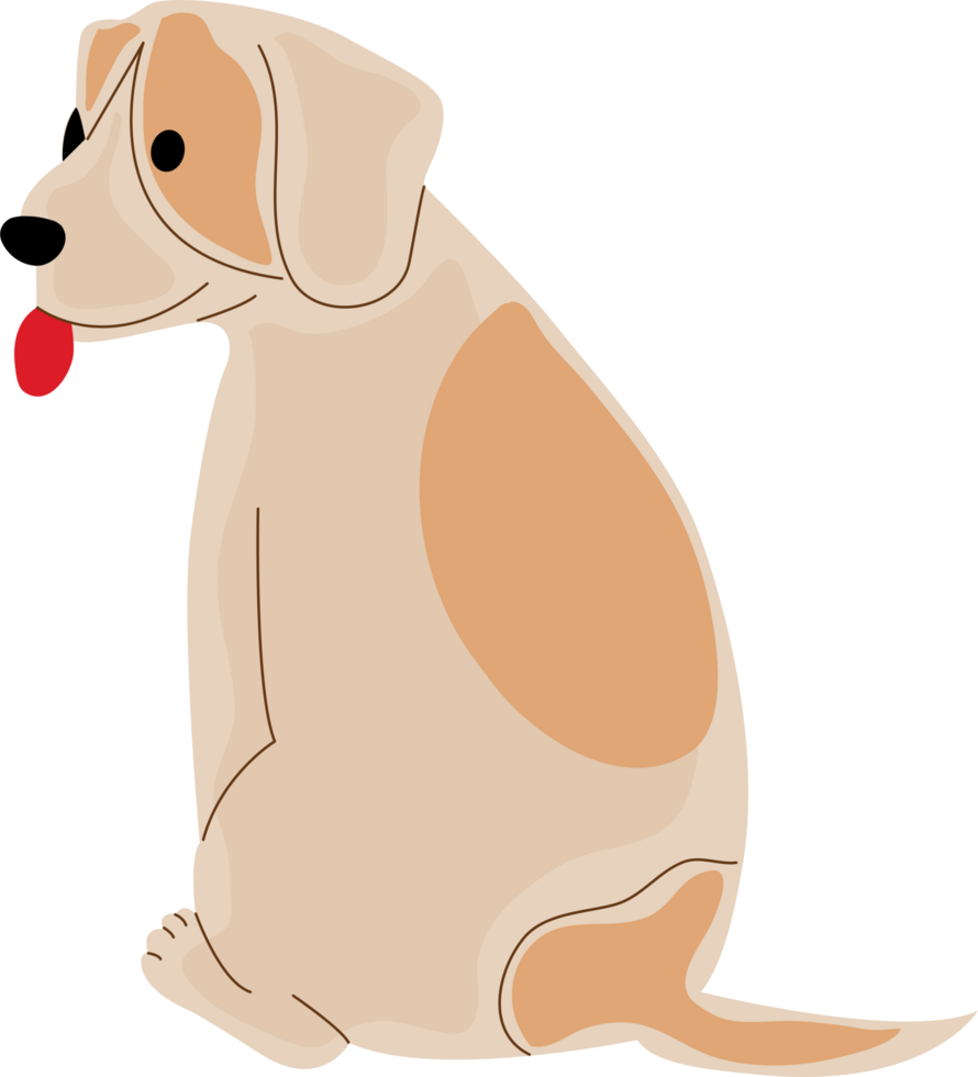 a cute dog png