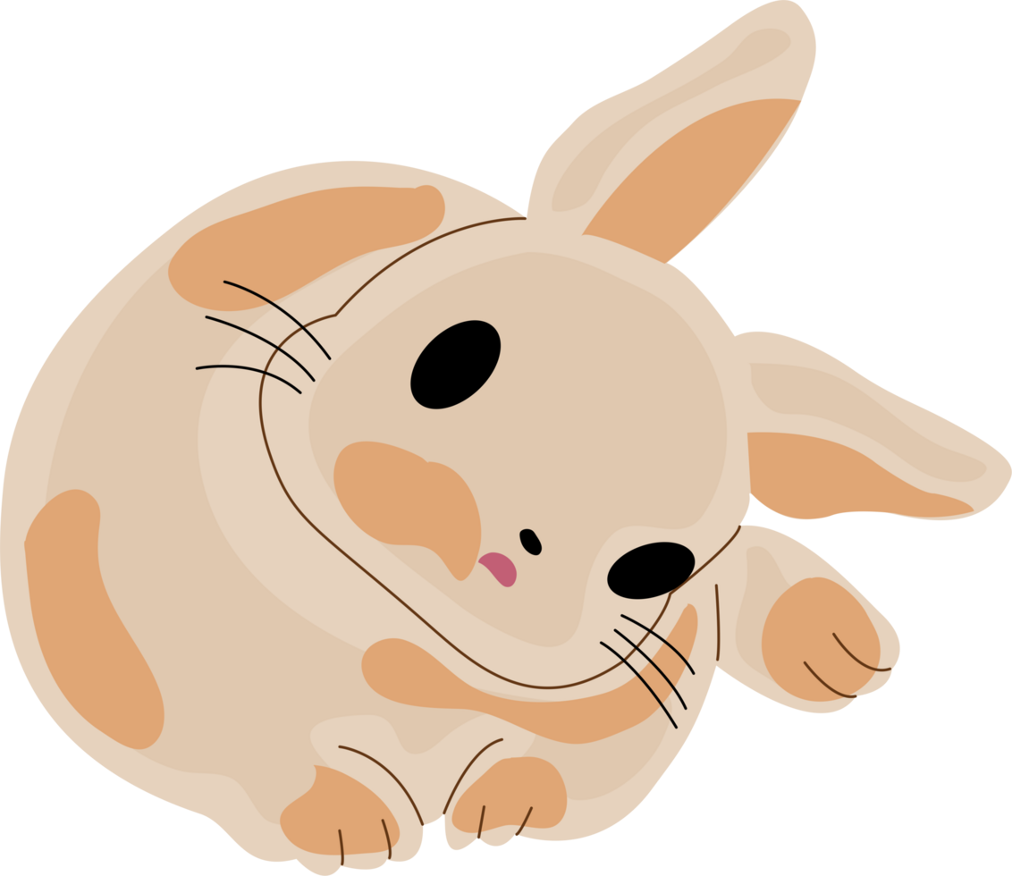 a cute rabbit png