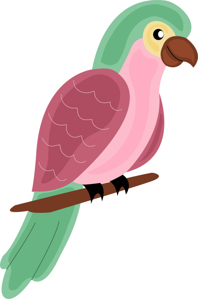 a cute bird png