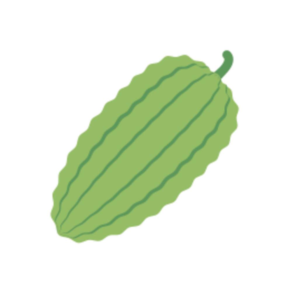 balsam pear illustration design png