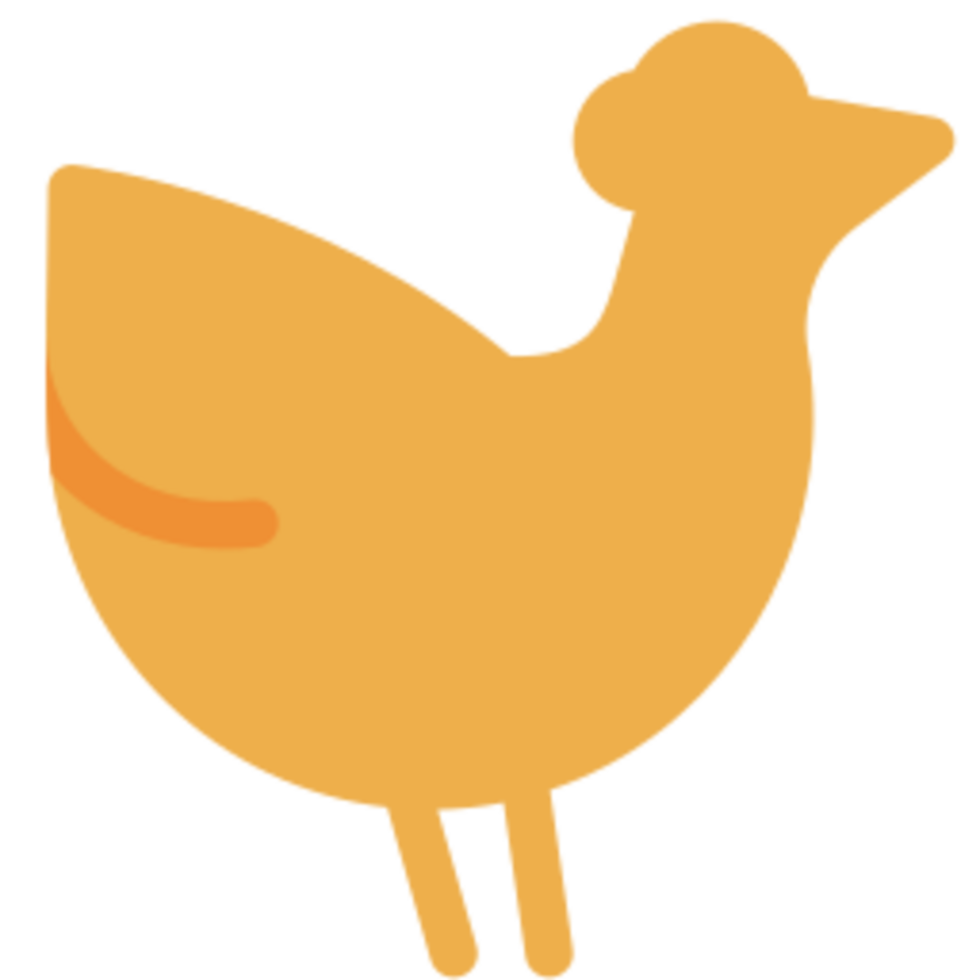 Chicken illustration design png