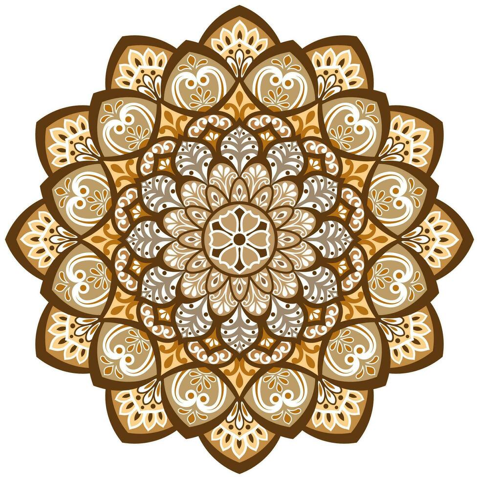 Mandala flower color vector image