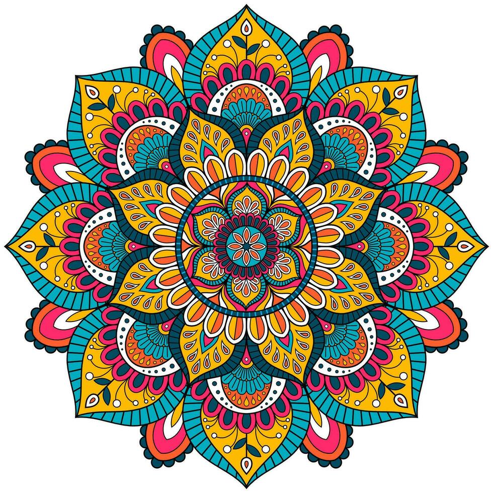 Mandala flower color vector image