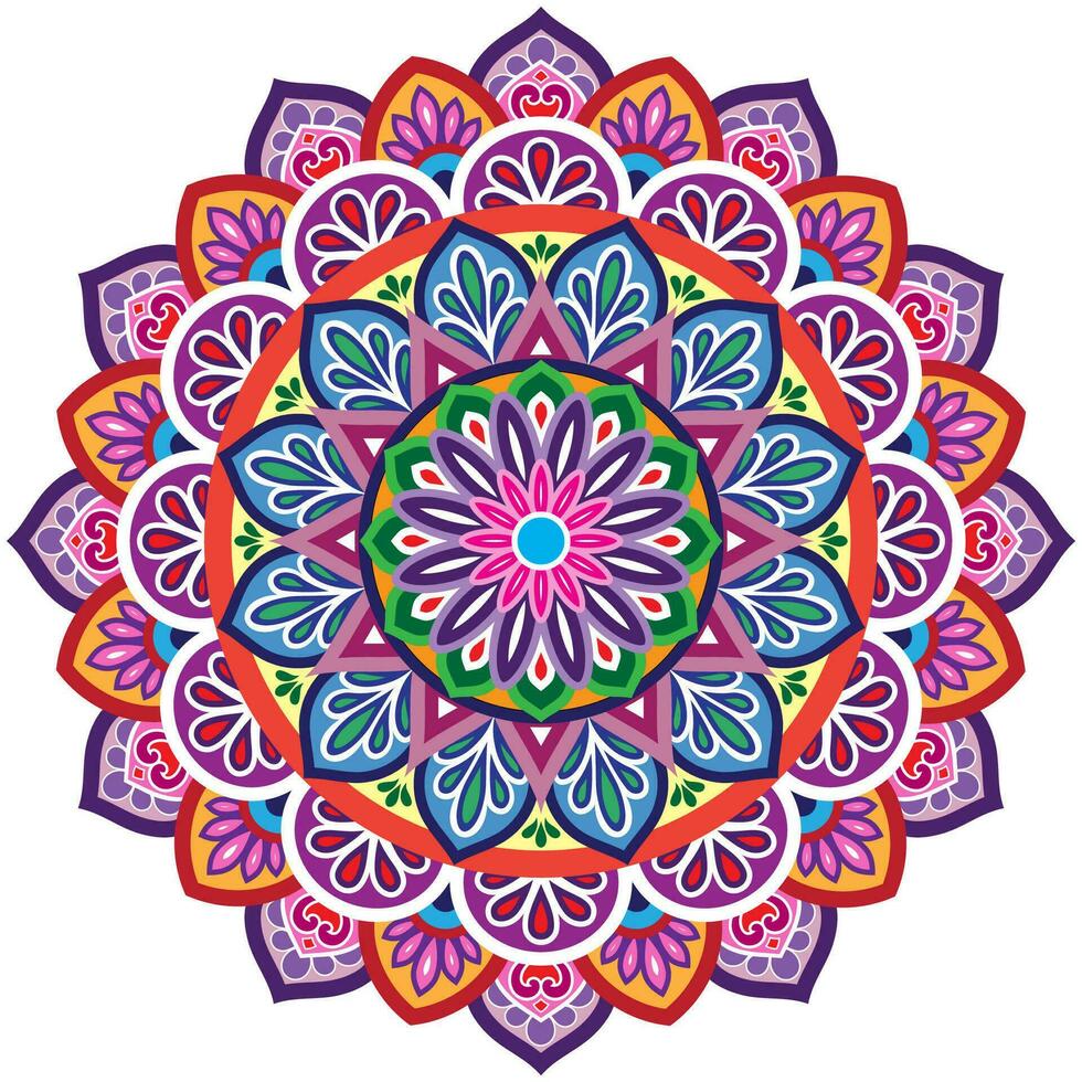 Mandala flower color vector image.