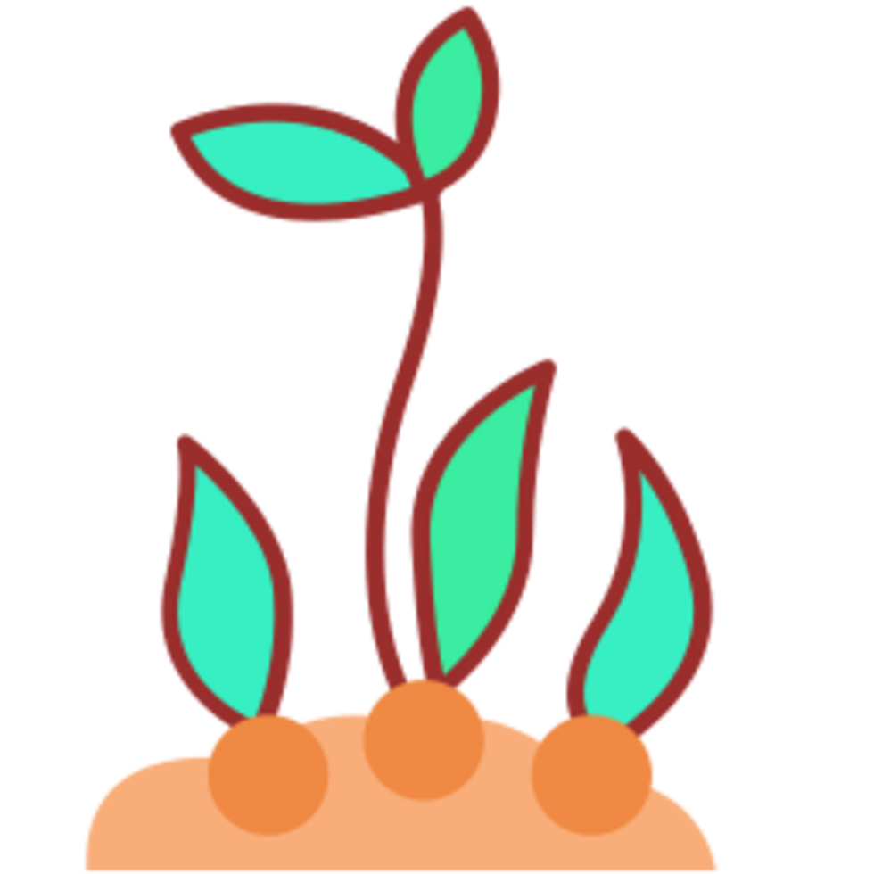 Botany illustration design png