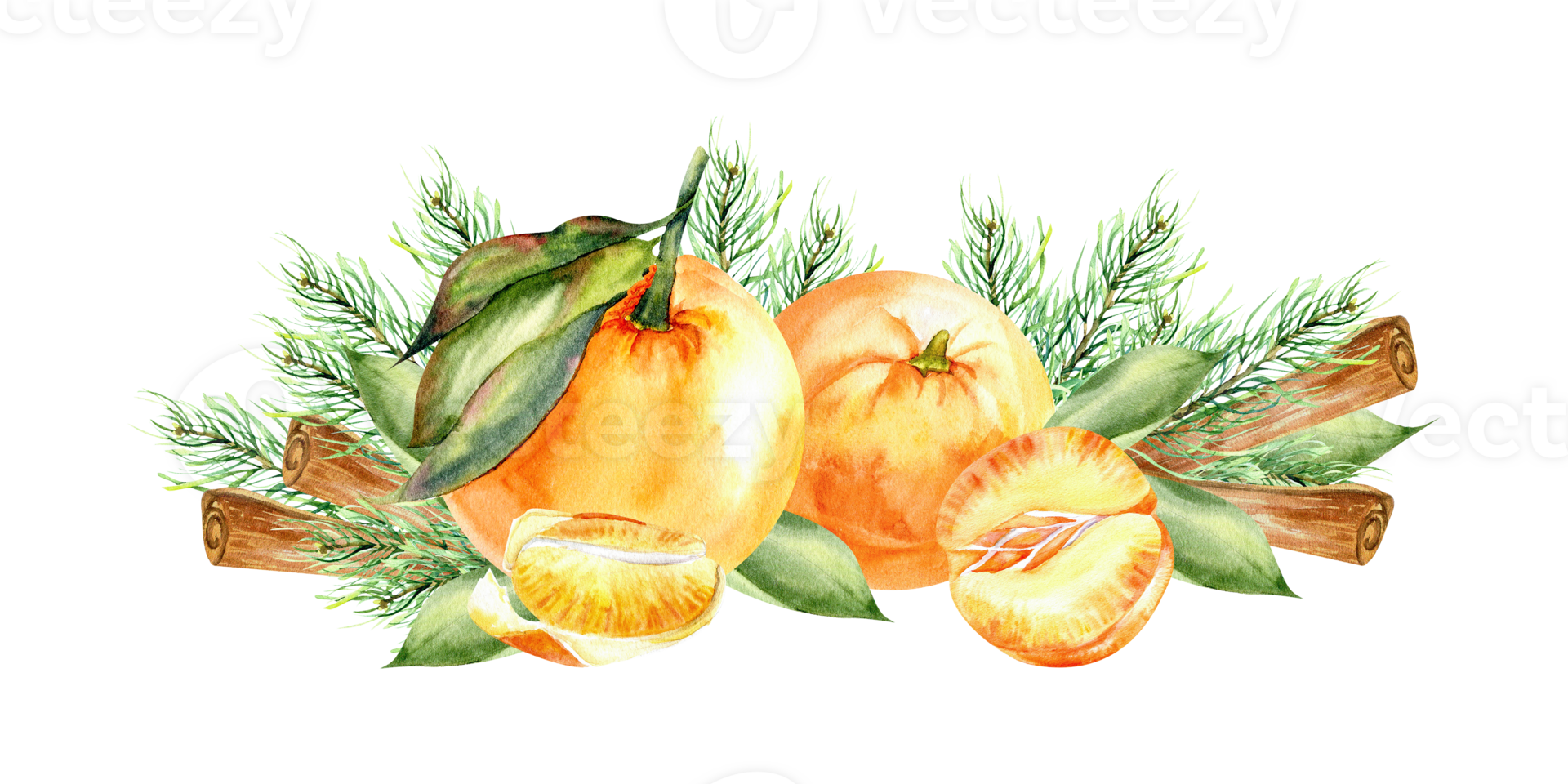Watercolor chrismas orange citrus fruits tangerines with pie branches and cinnamon sticks. Hand drawn new year celebrating composition for restaurant, menu, invitation design png