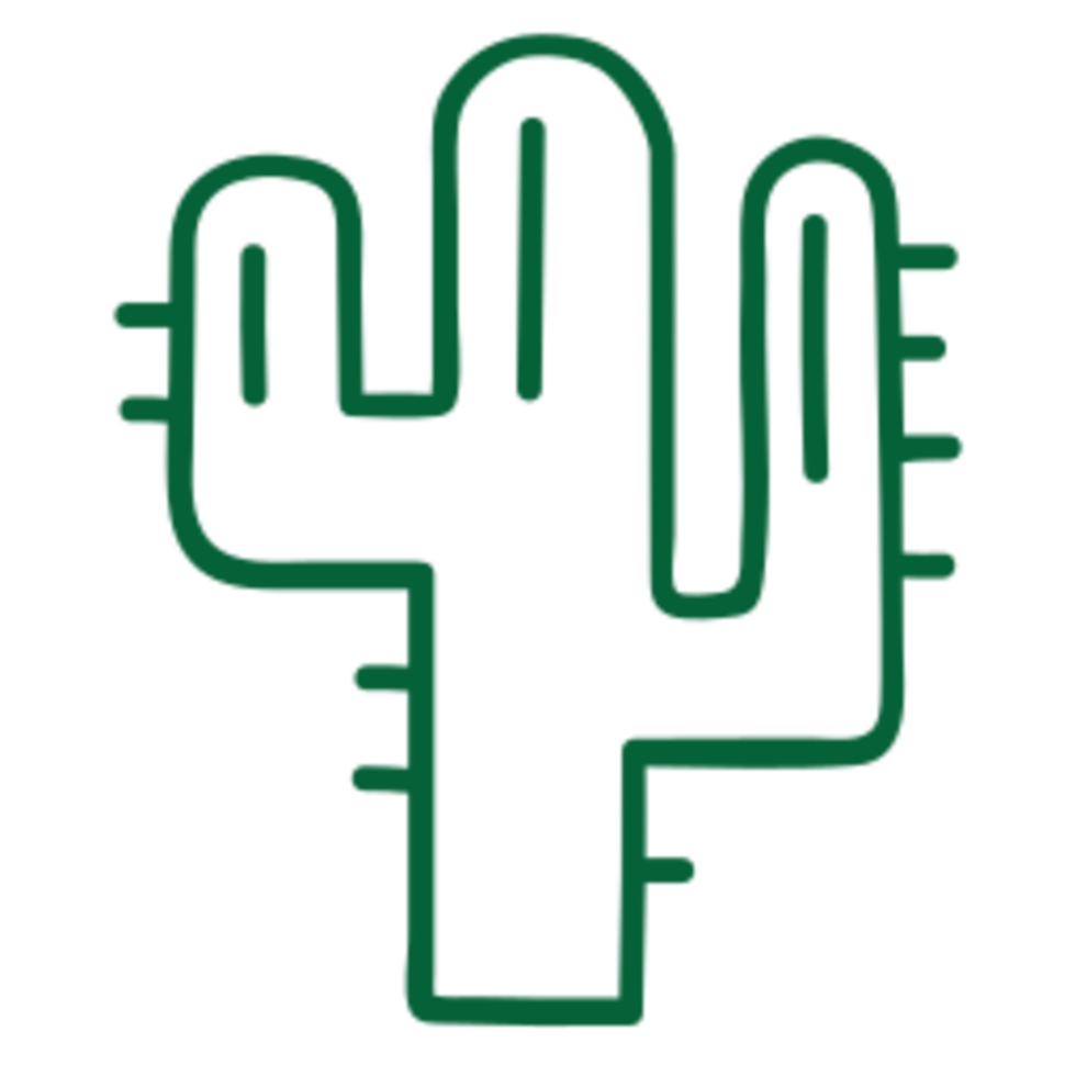 Cactus icon design png