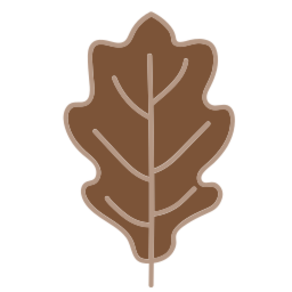 Leaf illustration design png